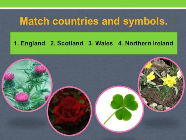Match countries and symbols. 1. England 2. Scotland 3. Wales 4. Northern Ireland