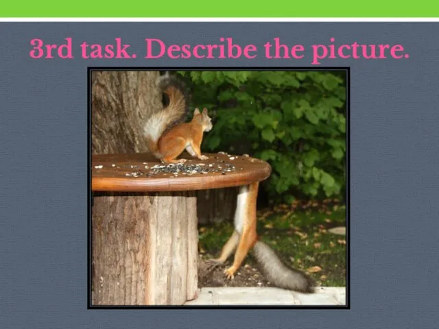 3rd task. Describe the picture.