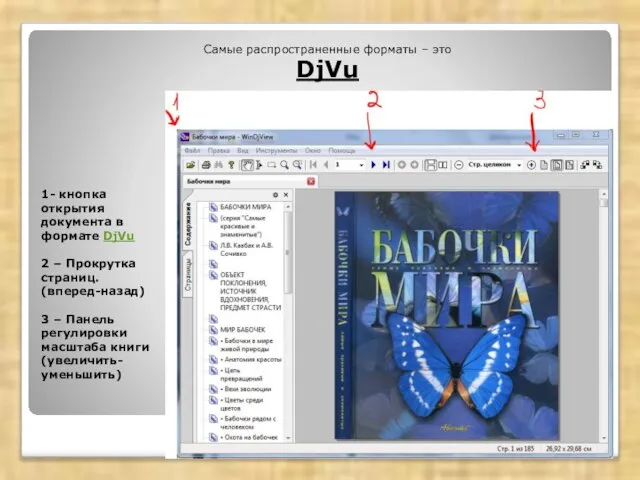 1- кнопка открытия документа в формате DjVu 2 – Прокрутка страниц. (вперед-назад)