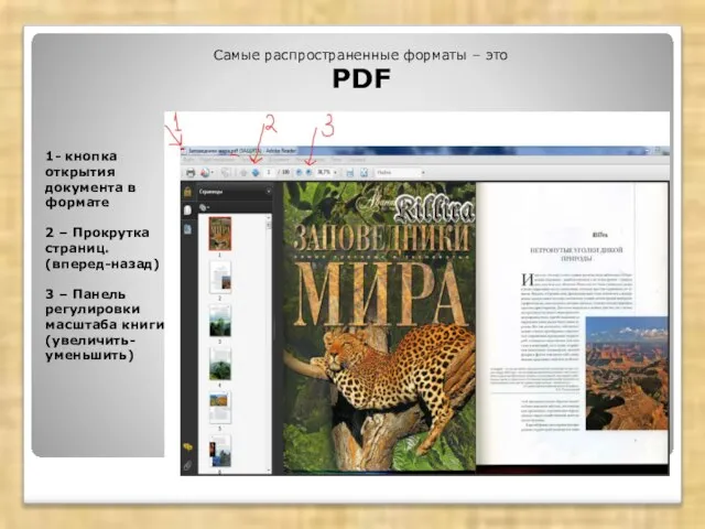 1- кнопка открытия документа в формате 2 – Прокрутка страниц. (вперед-назад) 3