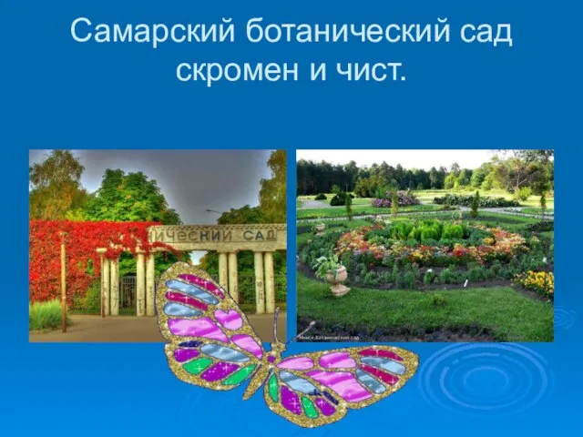 Самарский ботанический сад скромен и чист.