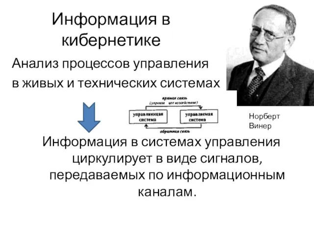 Информация в кибернетике Анализ процессов управления в живых и технических системах Информация