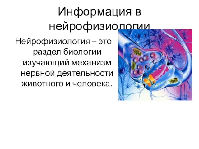 Информация в нейрофизиологии Нейрофизиология – это раздел биологии изучающий механизм нервной деятельности животного и человека.