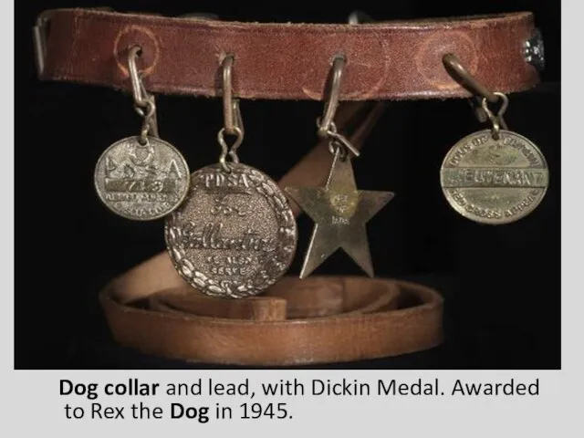 Dog collar and lead, with Dickin Medal. Awarded to Rex the Dog in 1945.