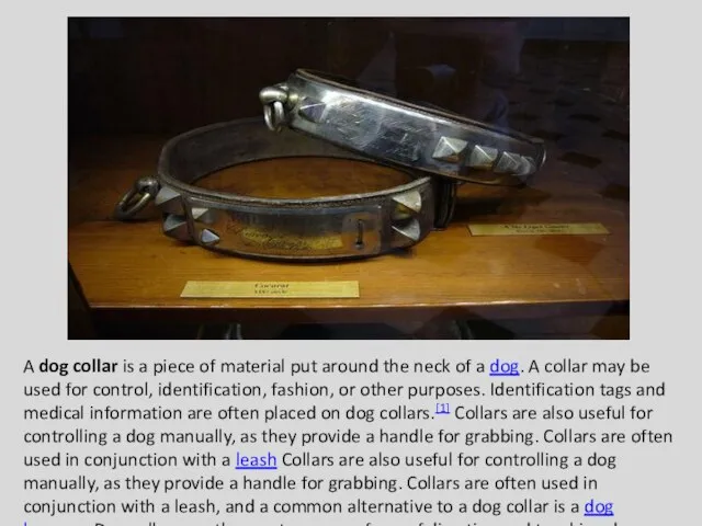 A dog collar is a piece of material put around the neck
