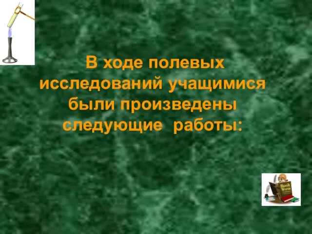 В ходе полевых исследований учащимися были произведены следующие работы: