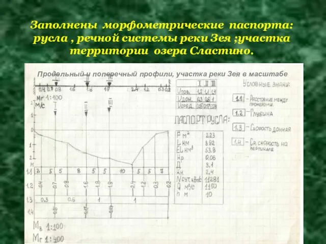 Заполнены морфометрические паспорта: русла , речной системы реки Зея ;участка территории озера Сластино.