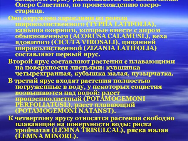 Геоботаническое описание №1 (Исследуемого участка озера Сластино.). Дата: 26.06.05 г. Озеро расположено