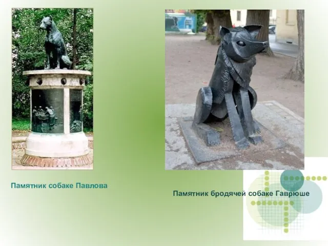 Памятник бродячей собаке Гаврюше Памятник собаке Павлова