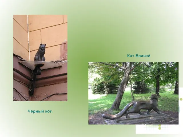 Кот Елисей Черный кот.