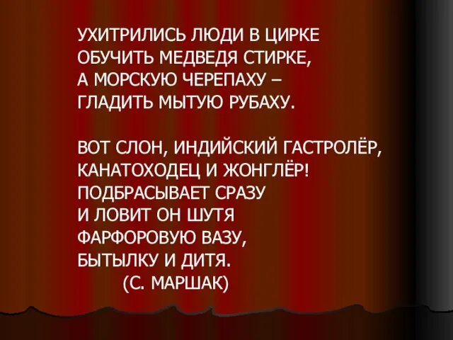 УХИТРИЛИСЬ ЛЮДИ В ЦИРКЕ ОБУЧИТЬ МЕДВЕДЯ СТИРКЕ, А МОРСКУЮ ЧЕРЕПАХУ – ГЛАДИТЬ