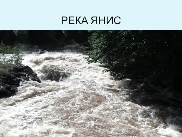 РЕКА ЯНИС