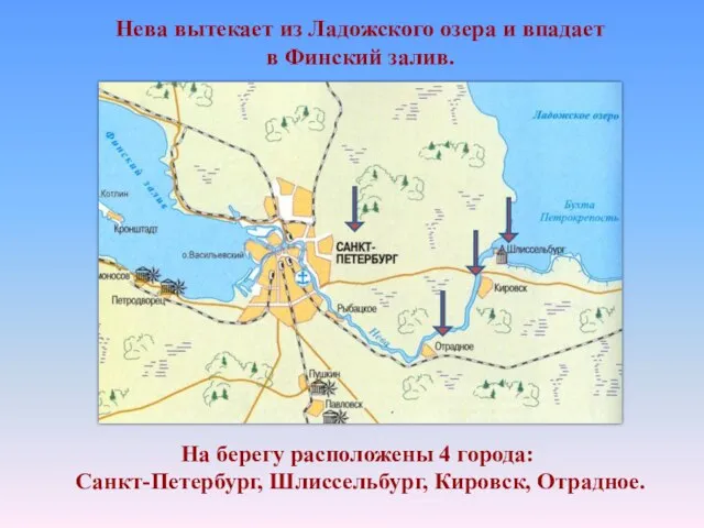 На берегу расположены 4 города: Санкт-Петербург, Шлиссельбург, Кировск, Отрадное. Нева вытекает из