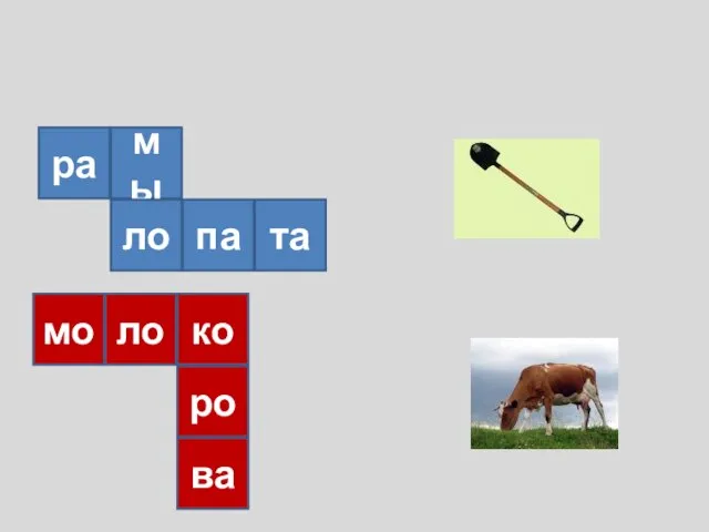 ра мы ло па та мо ло ко ро ва