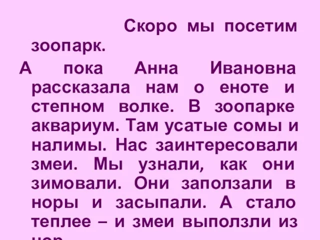 Скоро мы посетим зоопарк. А пока Анна Ивановна рассказала нам о еноте