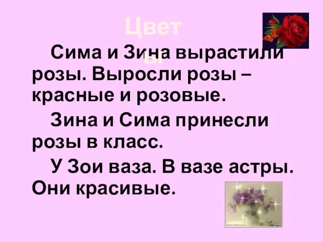 Сима и Зина вырастили розы. Выросли розы – красные и розовые. Зина