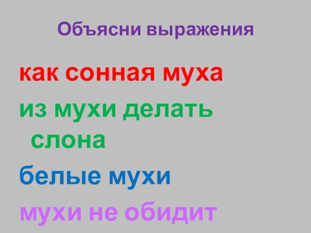 Объясни выражения как сонная муха из мухи делать слона белые мухи мухи не обидит