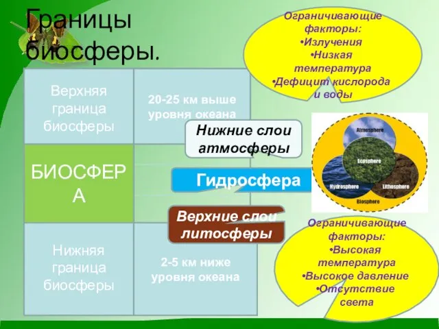 Границы биосферы. Верхняя граница биосферы Нижняя граница биосферы БИОСФЕРА 20-25 км выше