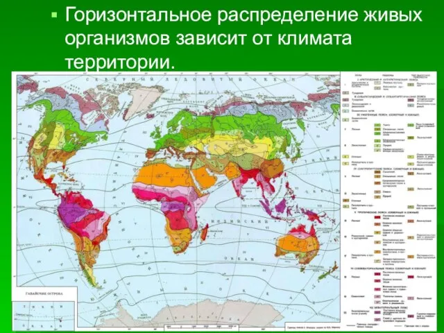 Горизонтальное распределение живых организмов зависит от климата территории.