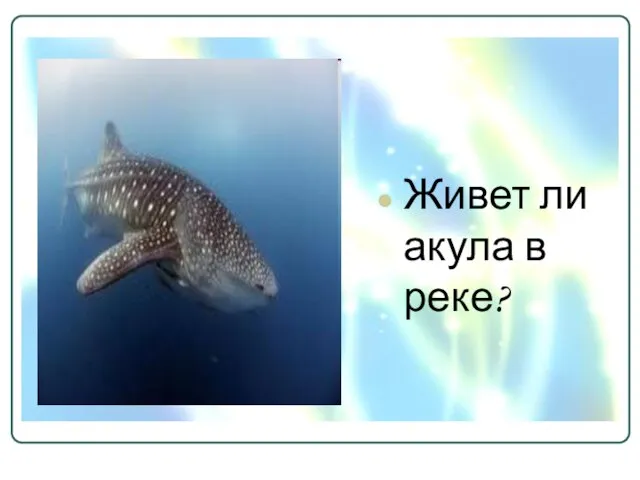 Живет ли акула в реке?