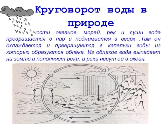 Круговорот воды в природе С поверхности океанов, морей, рек и суши вода