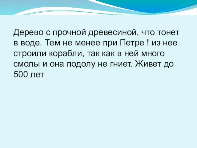 Дерево с прочной древесиной, что тонет в воде. Тем не менее при