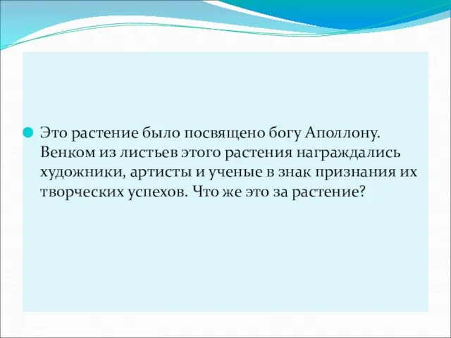 Это растение было посвящено богу Аполлону. Венком из листьев этого растения награждались