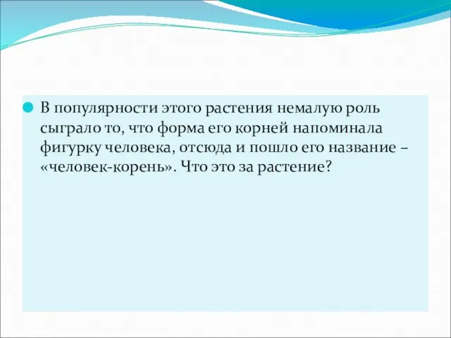 В популярности этого растения немалую роль сыграло то, что форма его корней