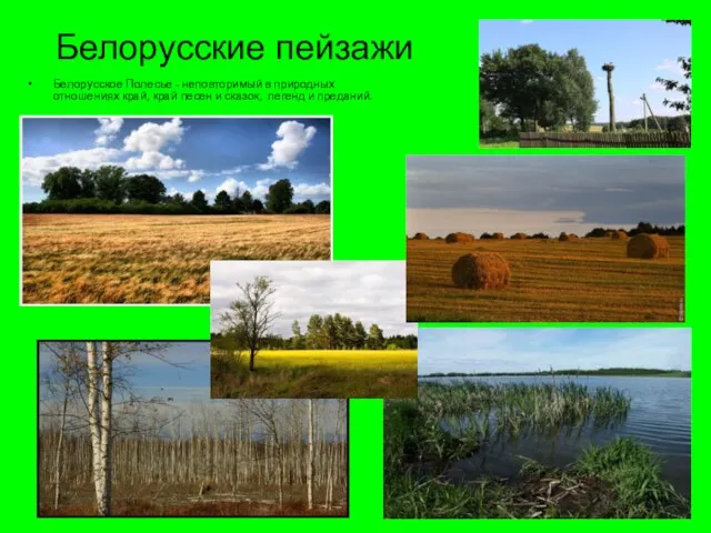 Белорусские пейзажи Белорусское Полесье - неповторимый в природных отношениях край, край песен