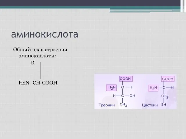 аминокислота Общий план строения аминокислоты: R H2N- CH-COOH