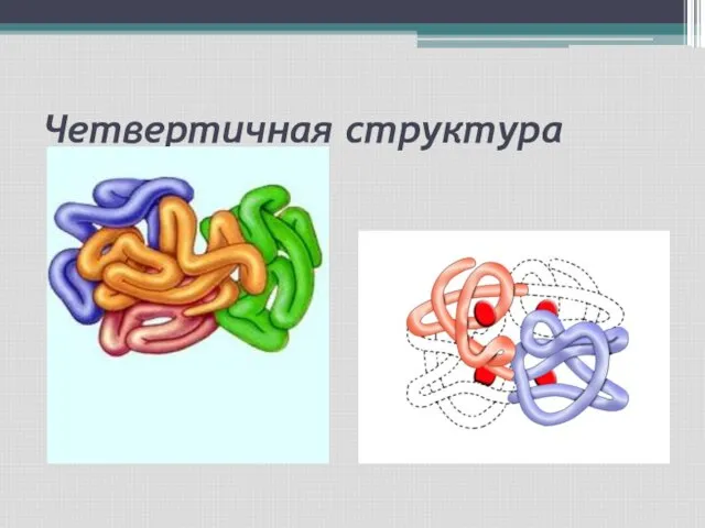 Четвертичная структура