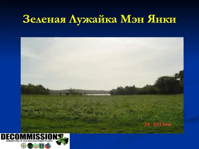 Зеленая Лужайка Мэн Янки