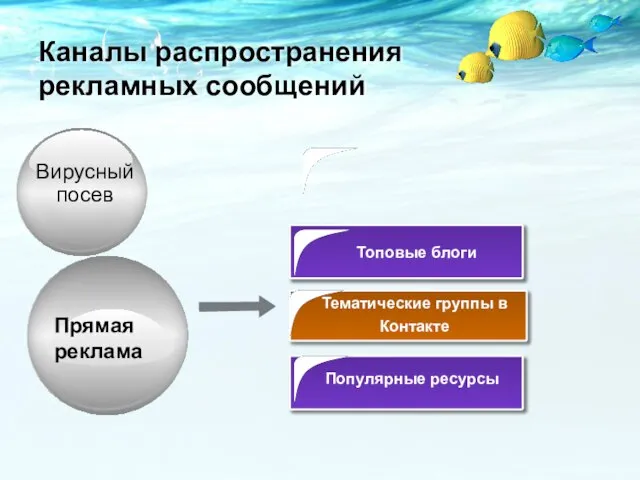 Топовые блоги Тематические группы в Контакте Вирусный посев Каналы распространения рекламных сообщений Популярные ресурсы