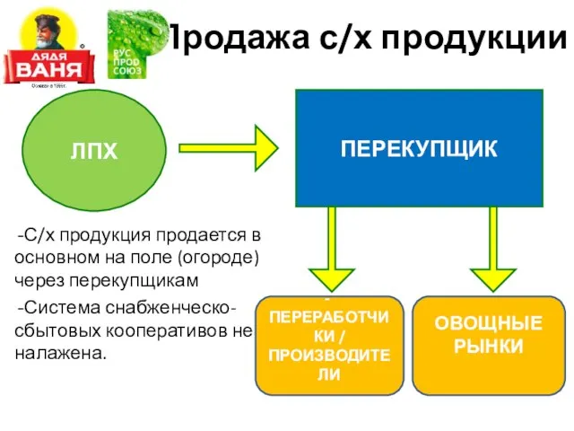 Продажа с/х продукции ЛПХ ПЕРЕКУПЩИК ПЕРЕРАБОТЧИКИ / ПРОИЗВОДИТЕЛИ С/х продукция продается в