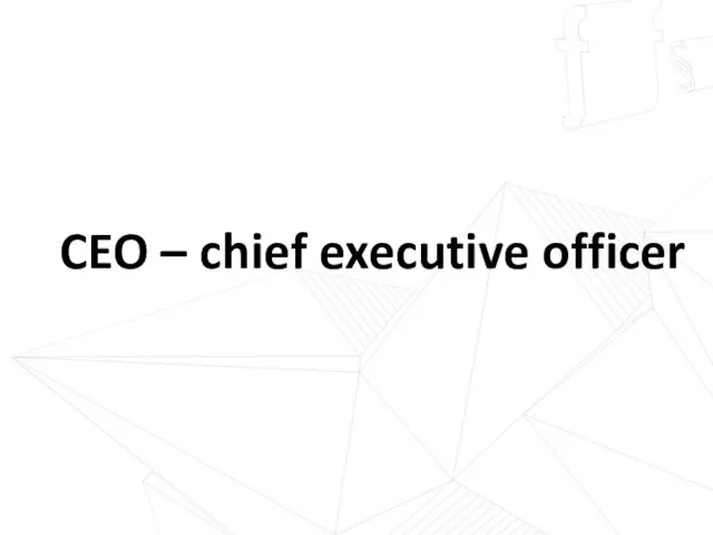 CEO – chief executive officer
