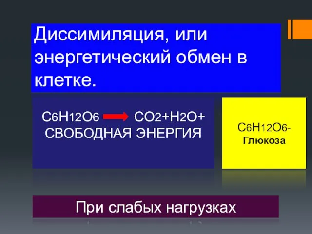 Диссимиляция, или энергетический обмен в клетке. C6H12O6 CO2+H2O+ СВОБОДНАЯ ЭНЕРГИЯ При слабых нагрузках C6H12O6-Глюкоза