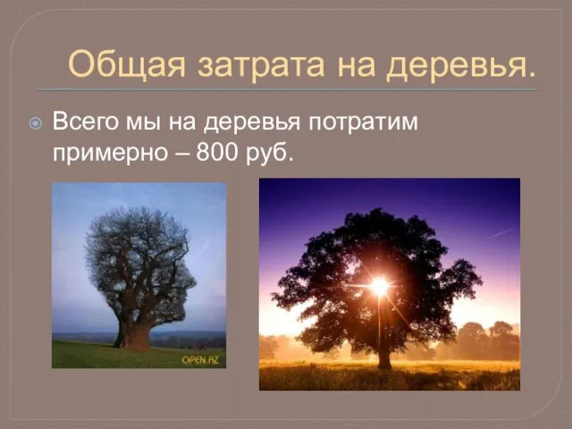 Общая затрата на деревья. Всего мы на деревья потратим примерно – 800 руб.