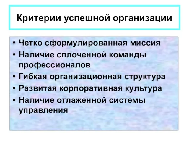 Критерии успешной организации Четко сформулированная миссия Наличие сплоченной команды профессионалов Гибкая организационная