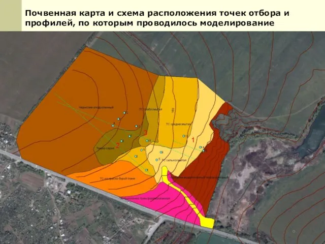 Почвенная карта и схема расположения точек отбора и профилей, по которым проводилось моделирование