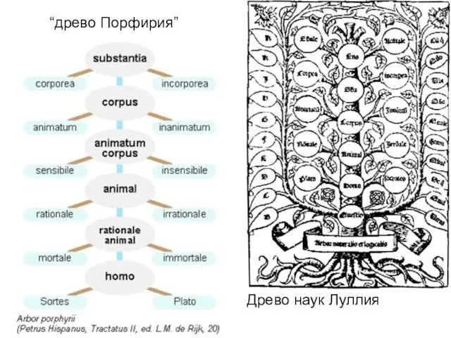 “древо Порфирия” Древо наук Луллия