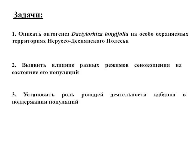 1. Описать онтогенез Dactylorhiza longifolia на особо охраняемых территориях Неруссо-Деснянского Полесья 2.