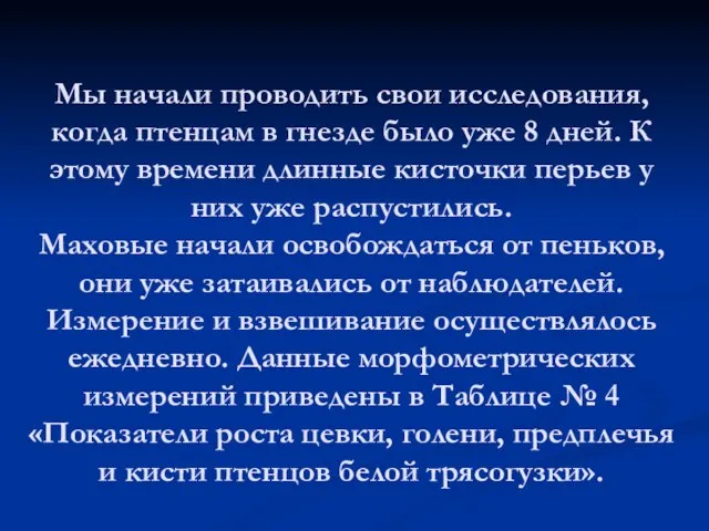 Мы начали проводить свои исследования, когда птенцам в гнезде было уже 8