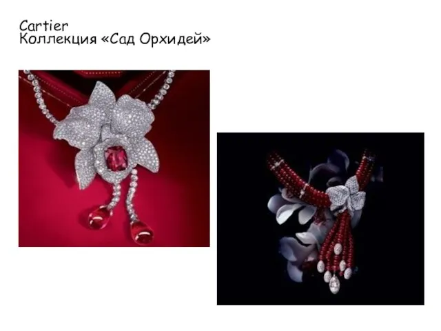 Cartier Коллекция «Сад Орхидей»