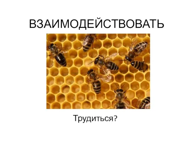 ВЗАИМОДЕЙСТВОВАТЬ Трудиться?