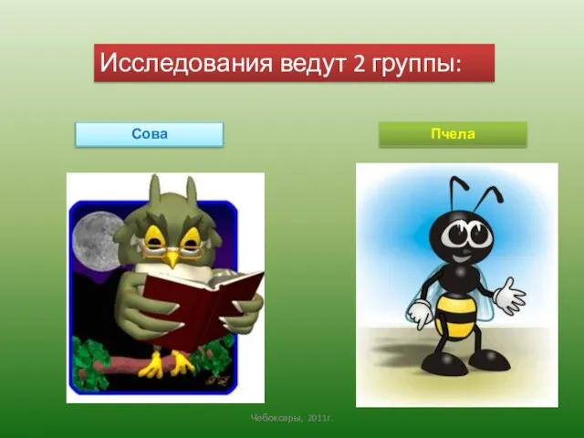 Исследования ведут 2 группы: Сова Пчела Чебоксары, 2011г.