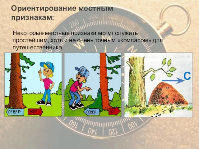 Ориентирование местным признакам: Некоторые местные признаки могут служить простейшим, хотя и не