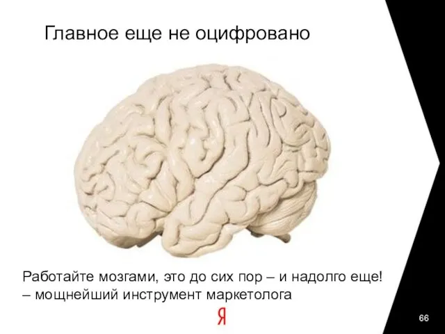 Главное еще не оцифровано Работайте мозгами, это до сих пор – и