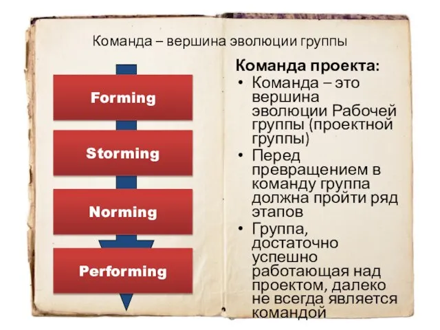 Команда – вершина эволюции группы Команда проекта: Команда – это вершина эволюции