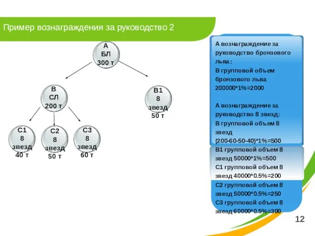 Пример вознаграждения за руководство 2 12 A вознаграждение за руководство бронзового льва：