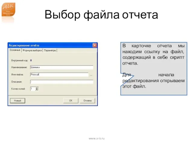 Выбор файла отчета www.a-is.ru В карточке отчета мы находим ссылку на файл,